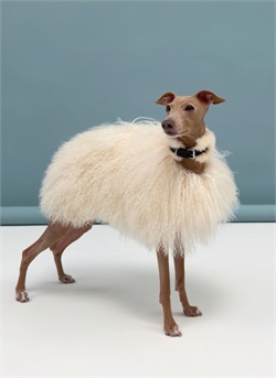 Попона для борзой Пушистая FLUFFY F-IG