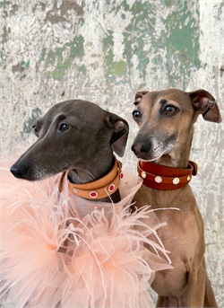 Индивидуальный заказ UN-D