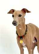 Чокер -  шнурок CH-C