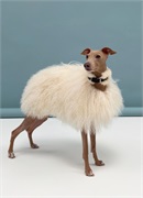 Попона для борзой FLUFFY F-IG